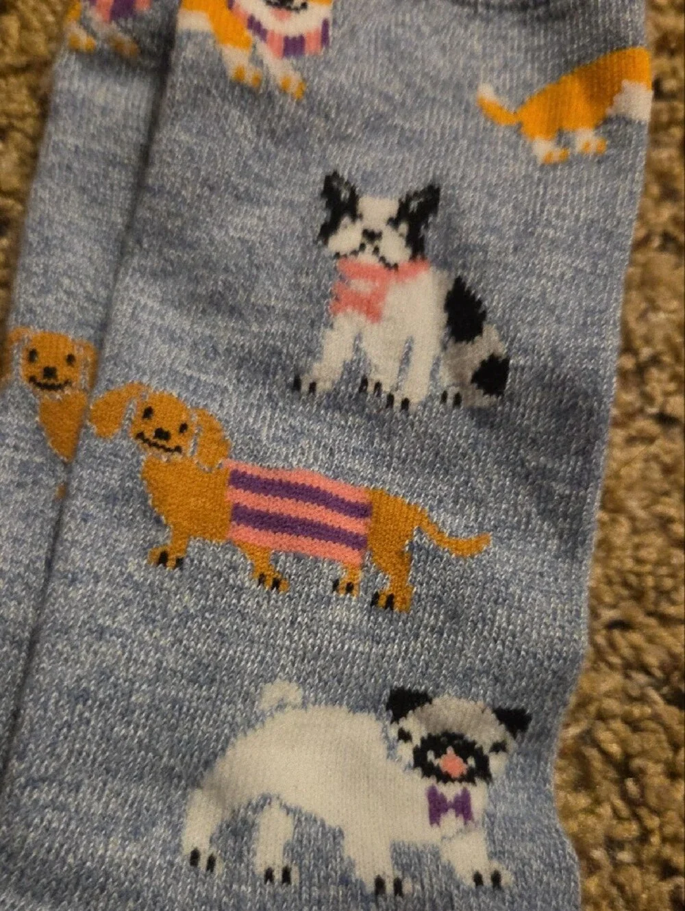 Gray & Maroon Dog Pattern Crew Socks - 2 Pairs